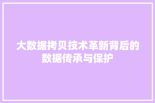 大数据拷贝技术革新背后的数据传承与保护