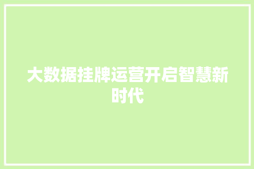 大数据挂牌运营开启智慧新时代