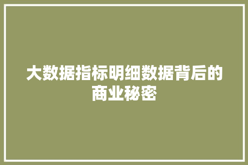 大数据指标明细数据背后的商业秘密