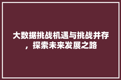 大数据挑战机遇与挑战并存，探索未来发展之路