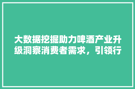 大数据挖掘助力啤酒产业升级洞察消费者需求，引领行业变革