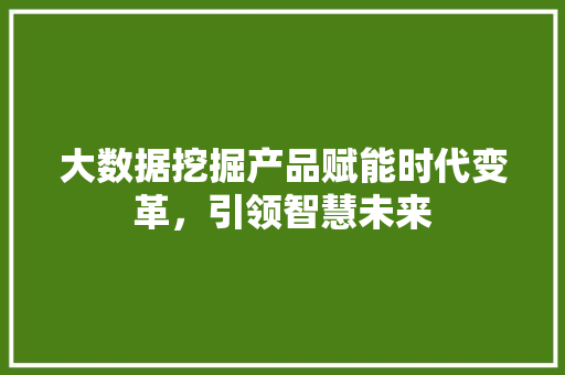 大数据挖掘产品赋能时代变革，引领智慧未来
