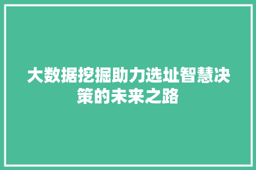 大数据挖掘助力选址智慧决策的未来之路