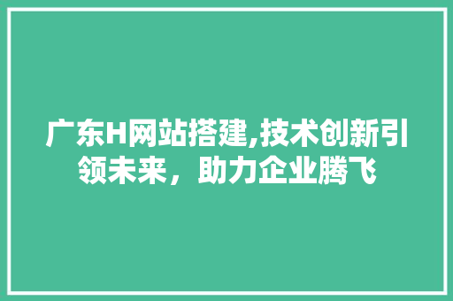 广东H网站搭建,技术创新引领未来，助力企业腾飞