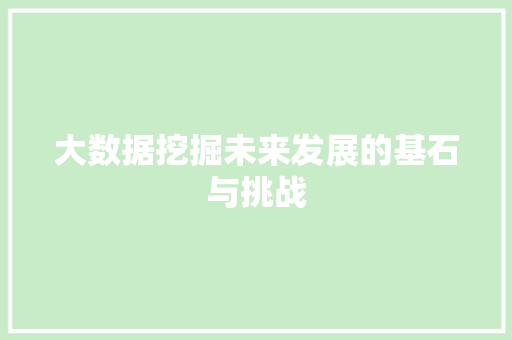 大数据挖掘未来发展的基石与挑战