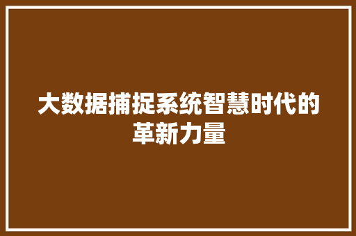 大数据捕捉系统智慧时代的革新力量