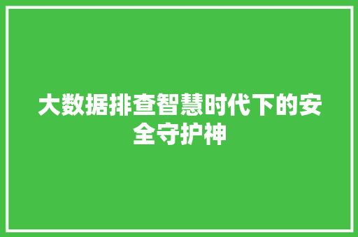 大数据排查智慧时代下的安全守护神