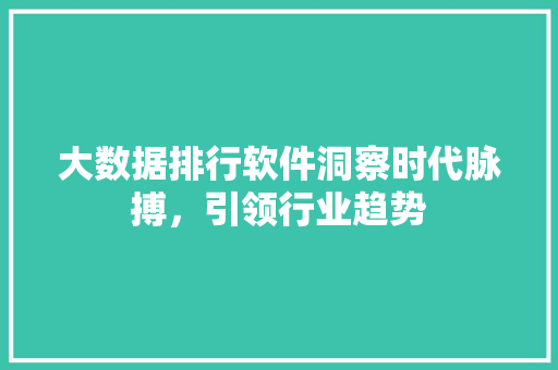 大数据排行软件洞察时代脉搏，引领行业趋势