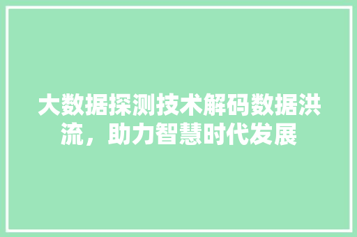 大数据探测技术解码数据洪流，助力智慧时代发展