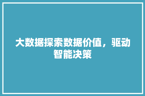 大数据探索数据价值，驱动智能决策