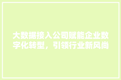 大数据接入公司赋能企业数字化转型，引领行业新风尚