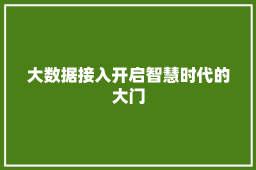 大数据接入开启智慧时代的大门