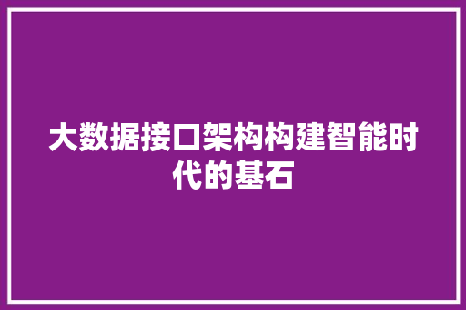 大数据接口架构构建智能时代的基石