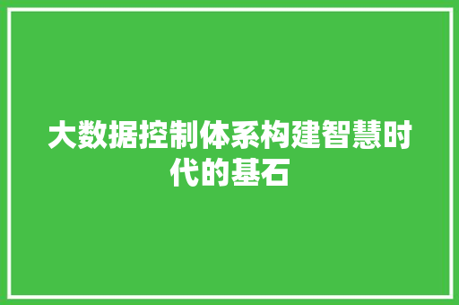 大数据控制体系构建智慧时代的基石