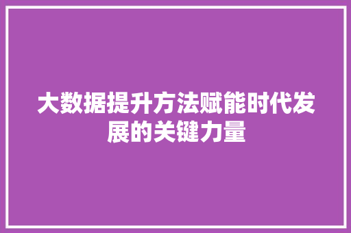 大数据提升方法赋能时代发展的关键力量