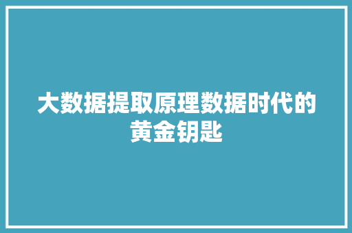 大数据提取原理数据时代的黄金钥匙