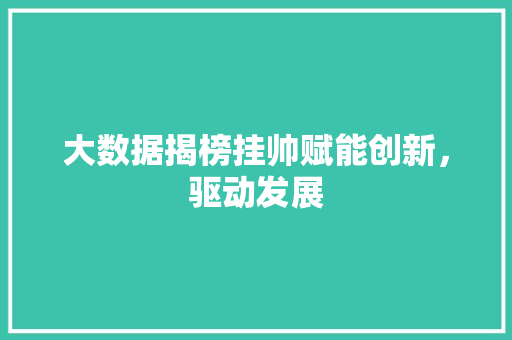 大数据揭榜挂帅赋能创新，驱动发展