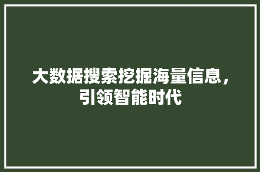 大数据搜索挖掘海量信息，引领智能时代