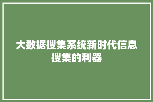 大数据搜集系统新时代信息搜集的利器