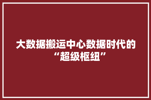 大数据搬运中心数据时代的“超级枢纽”