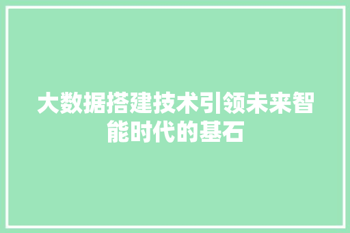 大数据搭建技术引领未来智能时代的基石