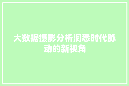 大数据摄影分析洞悉时代脉动的新视角