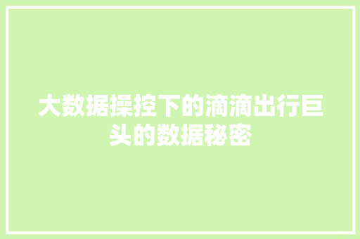 大数据操控下的滴滴出行巨头的数据秘密