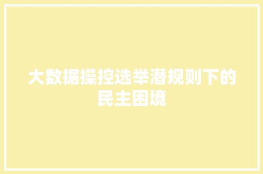 大数据操控选举潜规则下的民主困境