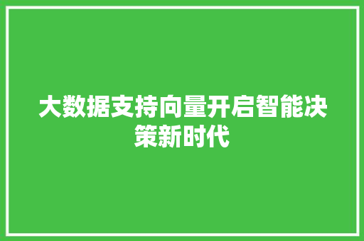大数据支持向量开启智能决策新时代