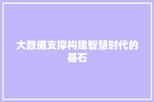 大数据支撑构建智慧时代的基石