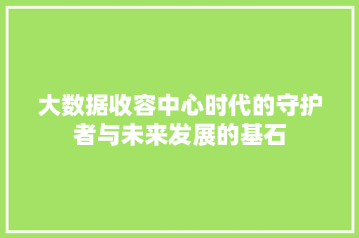 大数据收容中心时代的守护者与未来发展的基石