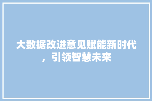 大数据改进意见赋能新时代，引领智慧未来