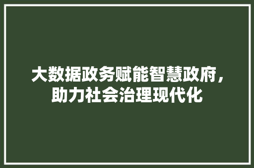 大数据政务赋能智慧政府，助力社会治理现代化