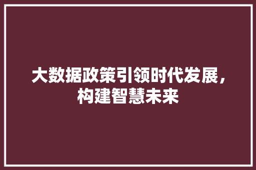 大数据政策引领时代发展，构建智慧未来