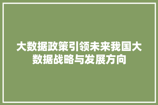 大数据政策引领未来我国大数据战略与发展方向