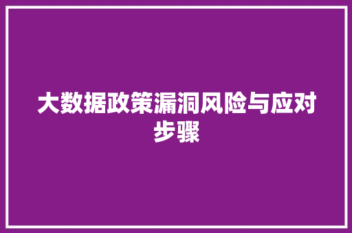 大数据政策漏洞风险与应对步骤