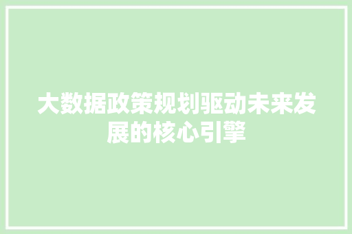 大数据政策规划驱动未来发展的核心引擎