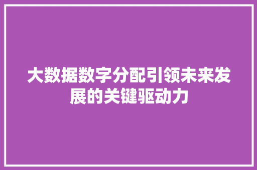 大数据数字分配引领未来发展的关键驱动力