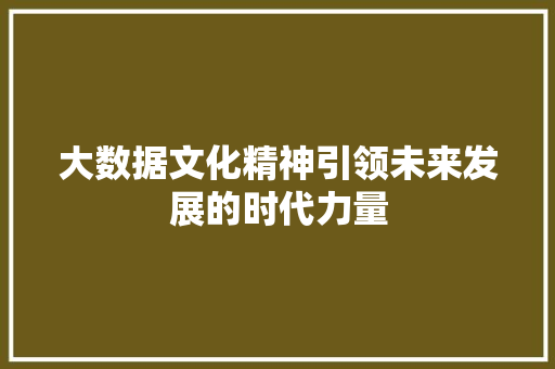 大数据文化精神引领未来发展的时代力量
