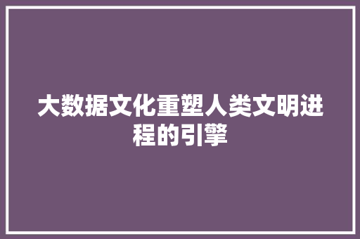 大数据文化重塑人类文明进程的引擎