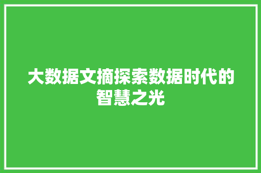 大数据文摘探索数据时代的智慧之光