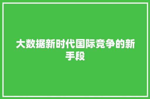 大数据新时代国际竞争的新手段
