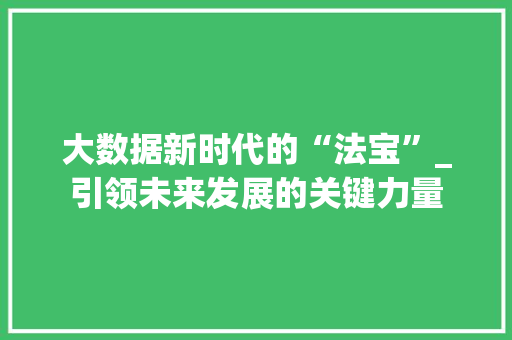 大数据新时代的“法宝”_引领未来发展的关键力量