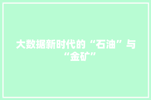 大数据新时代的“石油”与“金矿”