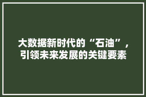 大数据新时代的“石油”，引领未来发展的关键要素