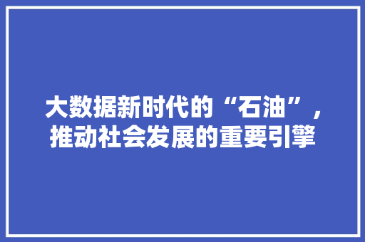 大数据新时代的“石油”，推动社会发展的重要引擎