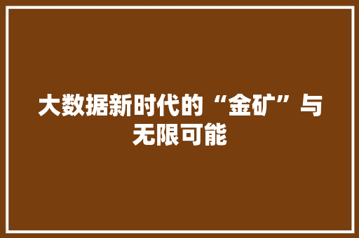 大数据新时代的“金矿”与无限可能