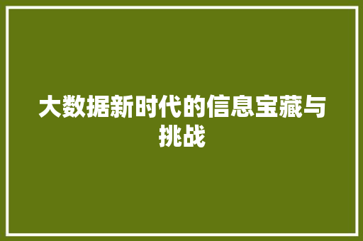 大数据新时代的信息宝藏与挑战