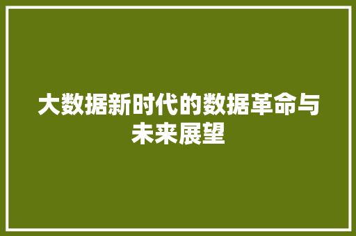 大数据新时代的数据革命与未来展望