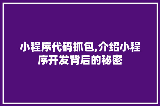小程序代码抓包,介绍小程序开发背后的秘密